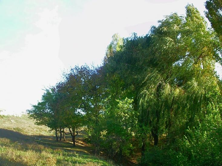 Трудове з panoramio.com - Trudove