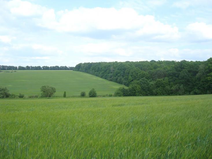 Ставчани з panoramio.com - Ставчаны