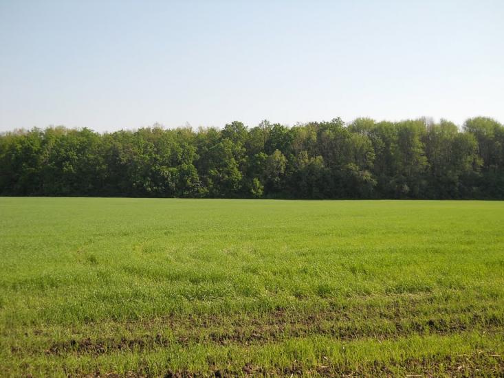 Дехтярка з panoramio.com - Дехтярка