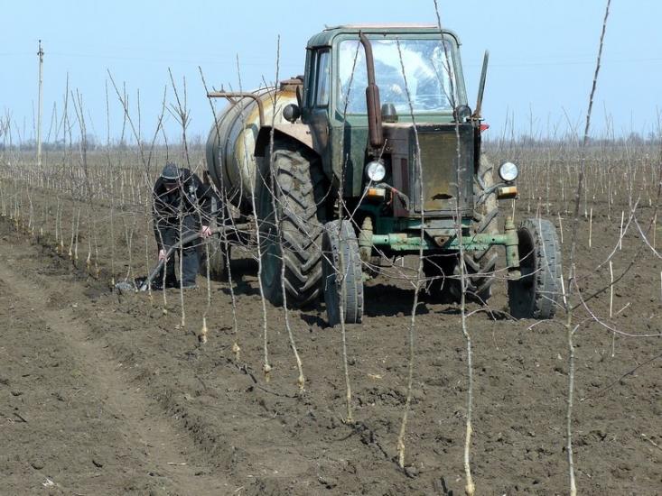 Вознесенка з panoramio.com - Вознесенка