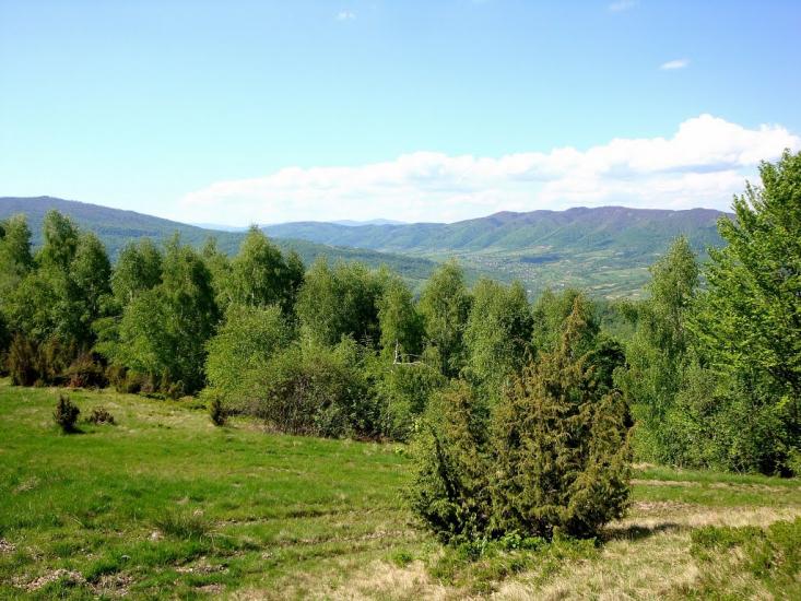 Люта з panoramio.com - Люта