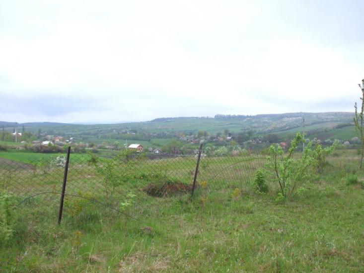 Чижки з panoramio.com - Чижки