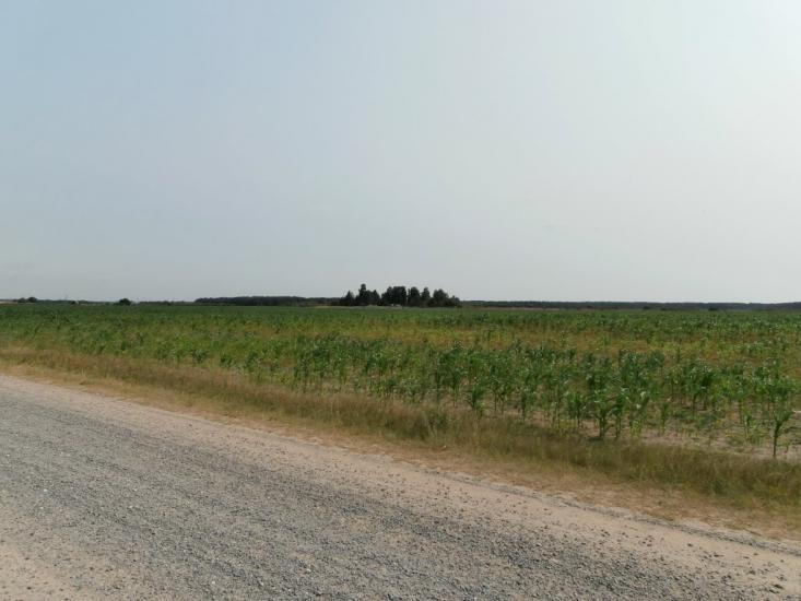Ниговищі з panoramio.com - Ниговищи