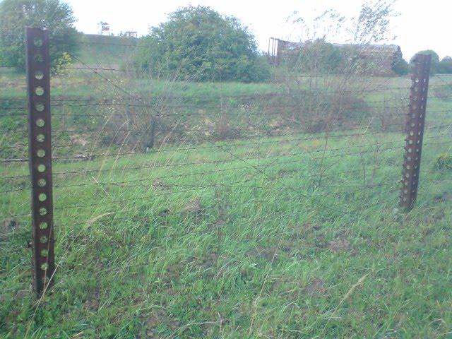 Привільне з panoramio.com - Привільне