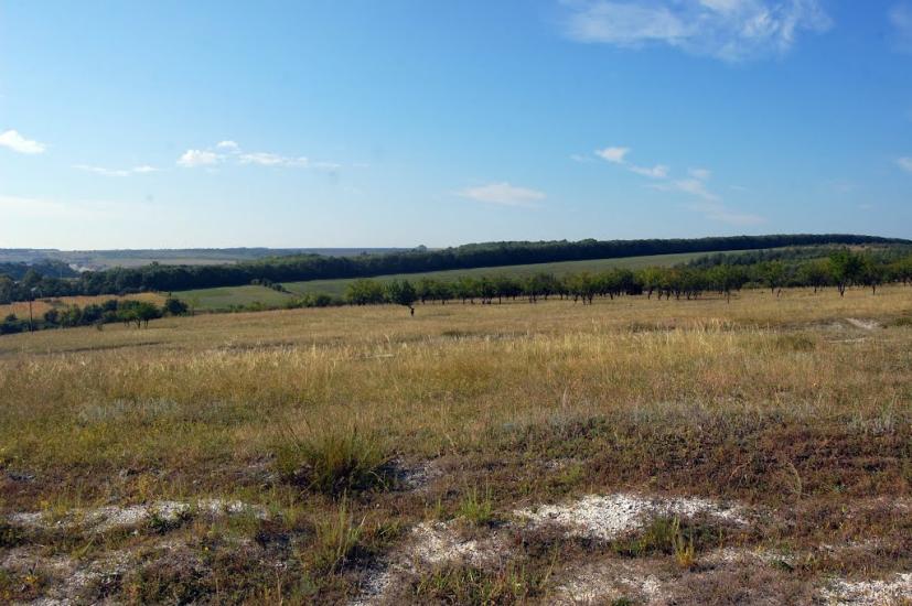 Білогорівка з panoramio.com - Белогоровка