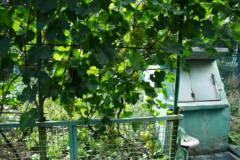 Лошкарівка з panoramio.com - Лошкаровка