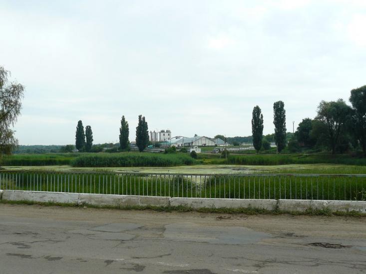Протопопівка з panoramio.com - Протопопівка