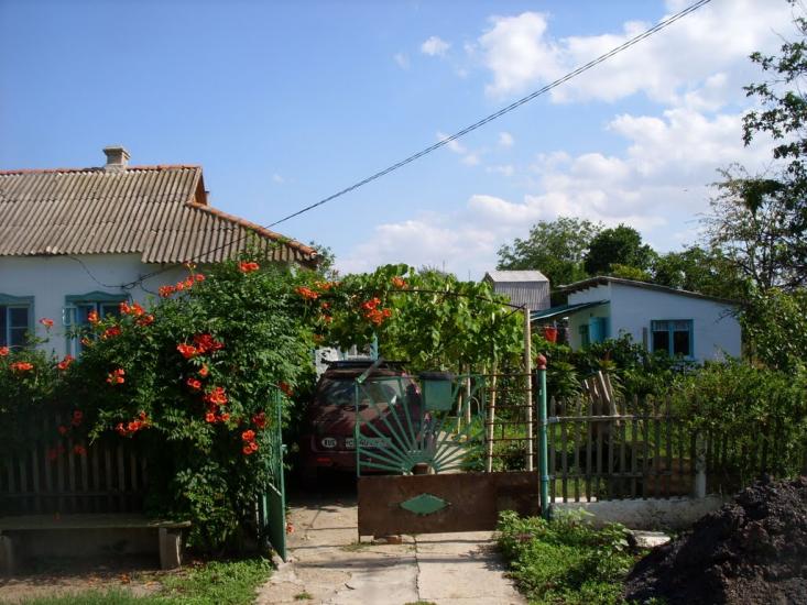 Андріївка з panoramio.com - Андреевка
