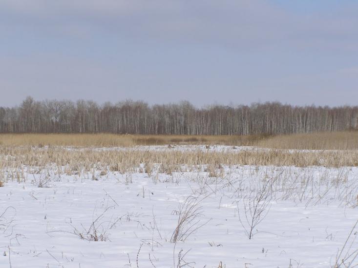 Осколонівка з panoramio.com - Осколонівка