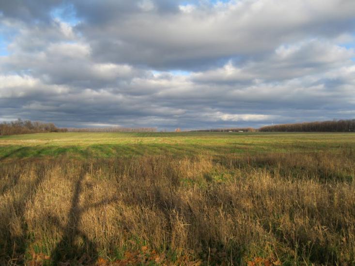 Кулиничі з panoramio.com - Кулиничі