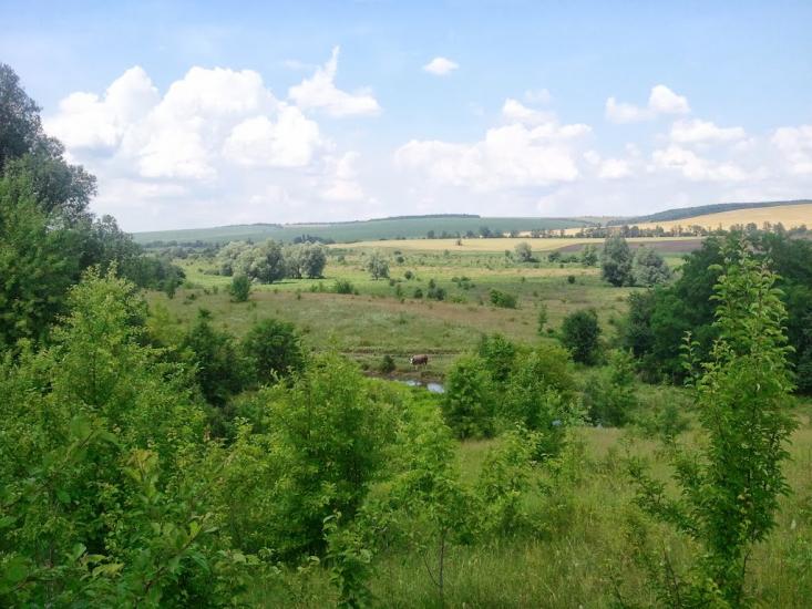 Новоукраїнка з panoramio.com - Новоукраїнка