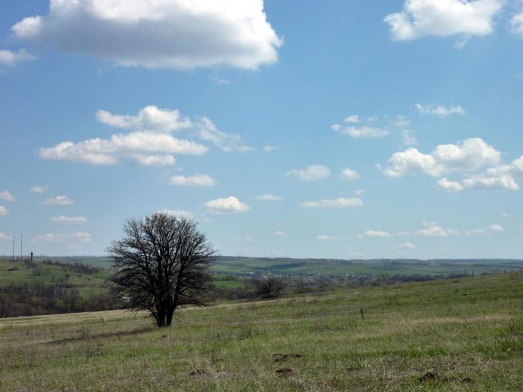 Маломиколаївка з panoramio.com - Малониколаевка