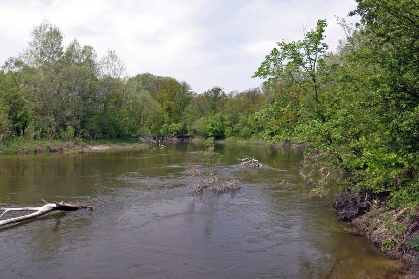 Щурівка з panoramio.com - Щуровка