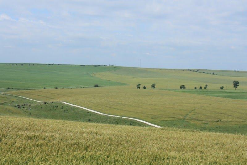 Петрів з panoramio.com - Петрів