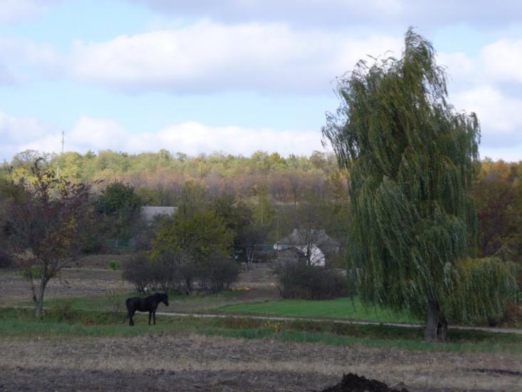 Гупалівка з panoramio.com - Гупаловка