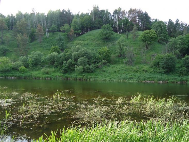 Маринин з panoramio.com - Маринин