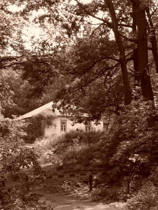 Коропове з panoramio.com - Коропово