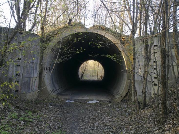 Давидківці з panoramio.com - Давыдковцы