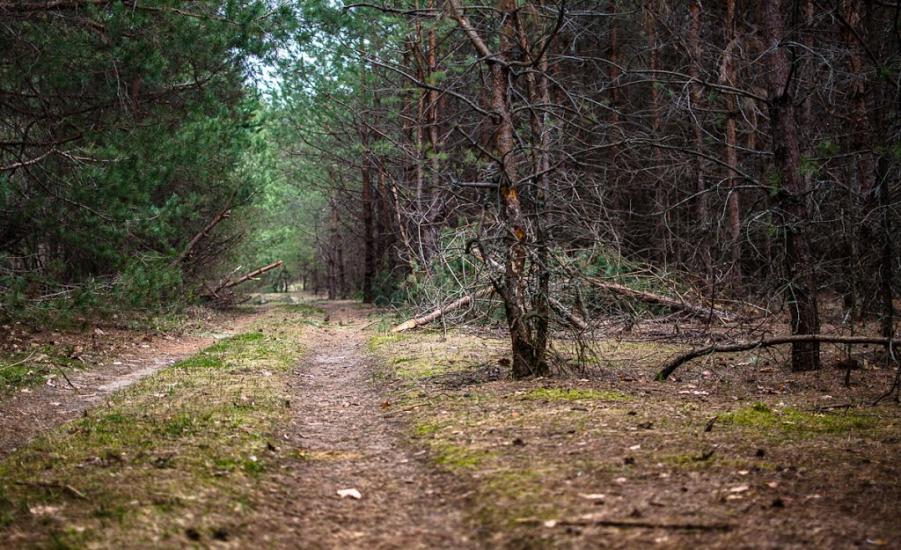 Малійки з panoramio.com - Maliyky