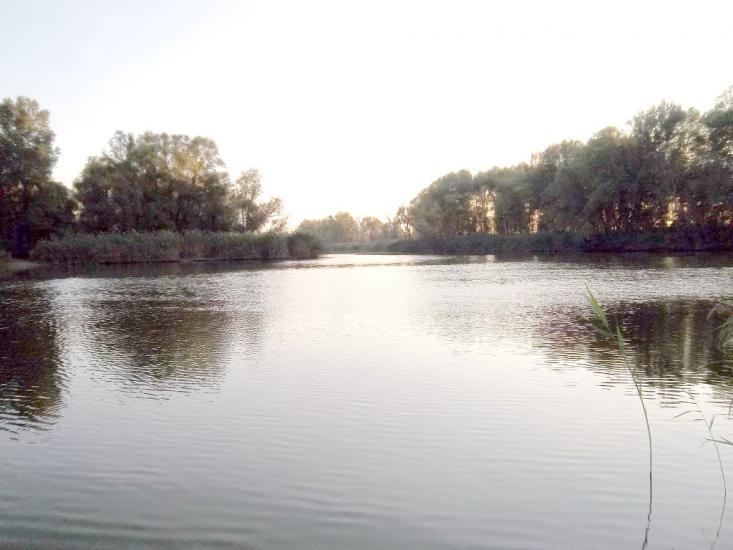 Леськи з panoramio.com - Леськи