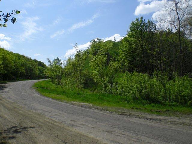 Радалівка з panoramio.com - Радалівка