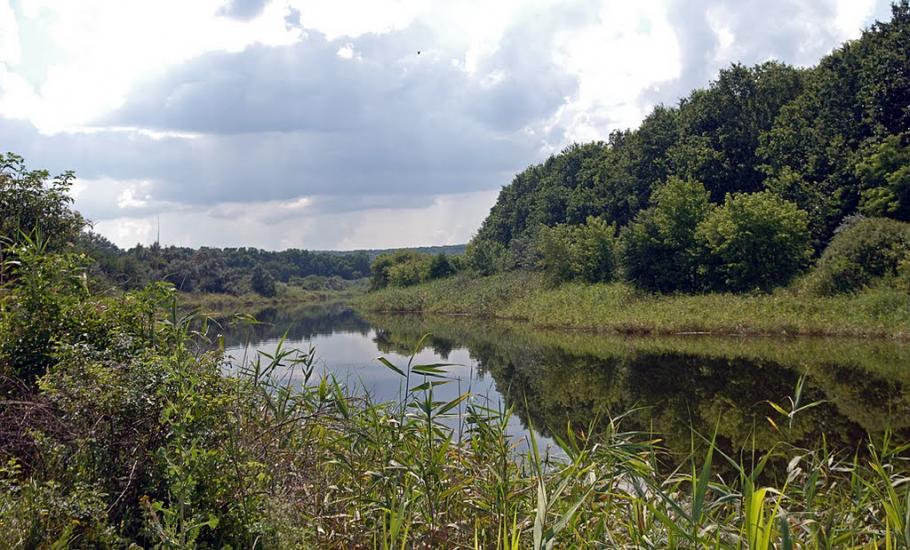 Іскра з panoramio.com - Іскра