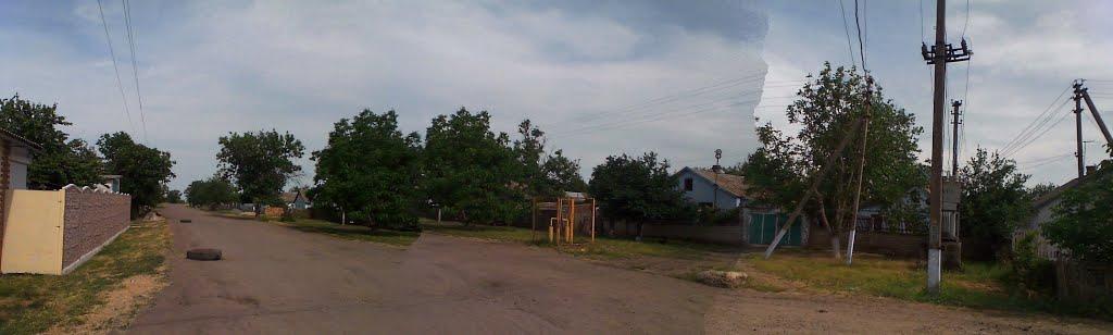 Зелений Гай з panoramio.com - Зелений Гай