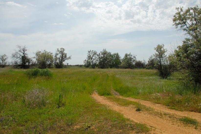 Козачі Лагері з panoramio.com - Козачие Лагеря