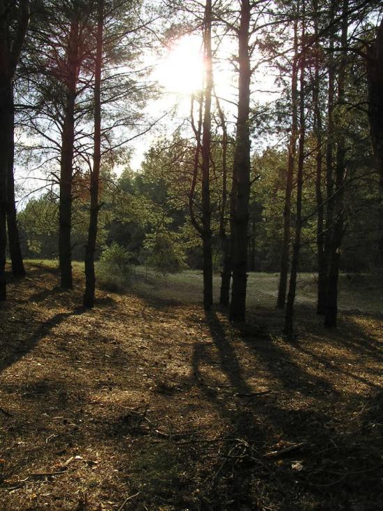 Кринки з panoramio.com - Кринки