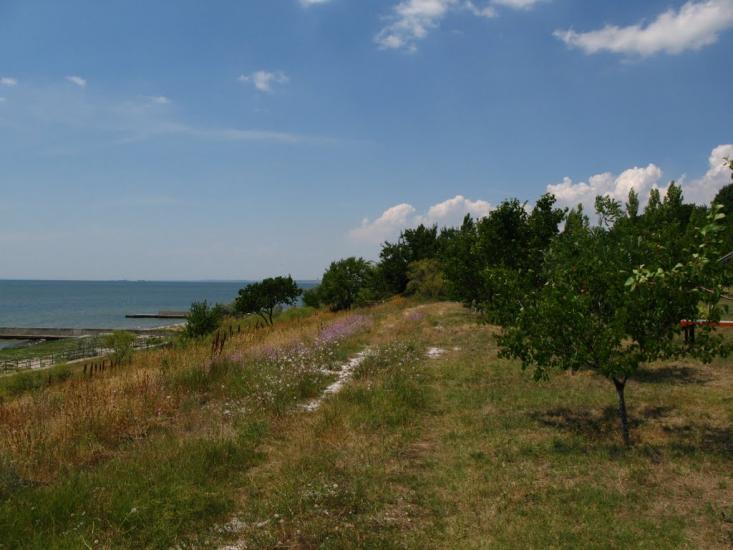 Морське з panoramio.com - Морское