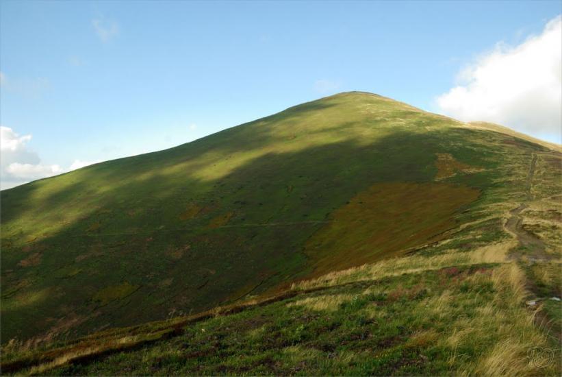 Вовчий з panoramio.com - Волчий