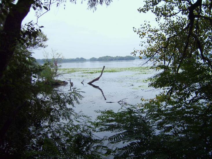 Розумівка з panoramio.com - Разумовка