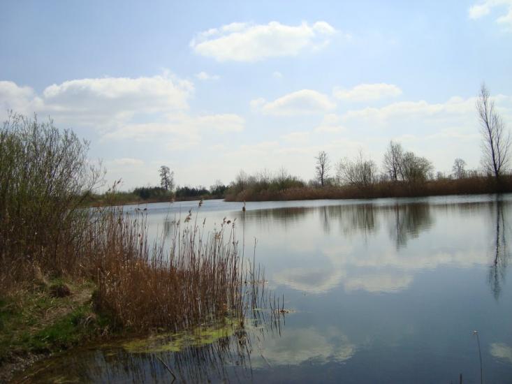 Буців з panoramio.com - Буцов