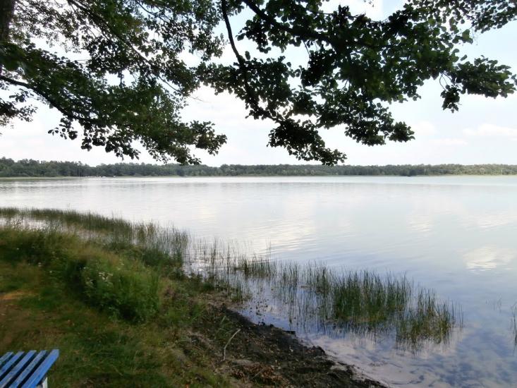 Ниговищі з panoramio.com - Ниговищи