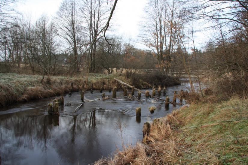 Лопатичі з panoramio.com - Лопатичи