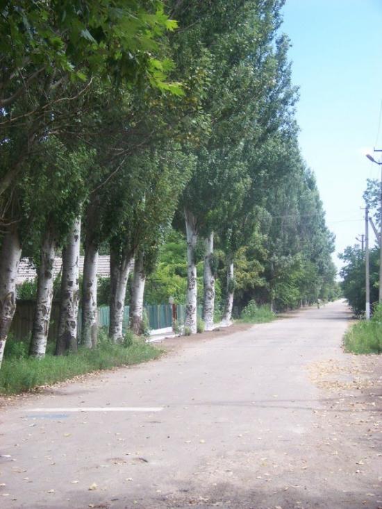 Михайлівка з panoramio.com - Михайлівка