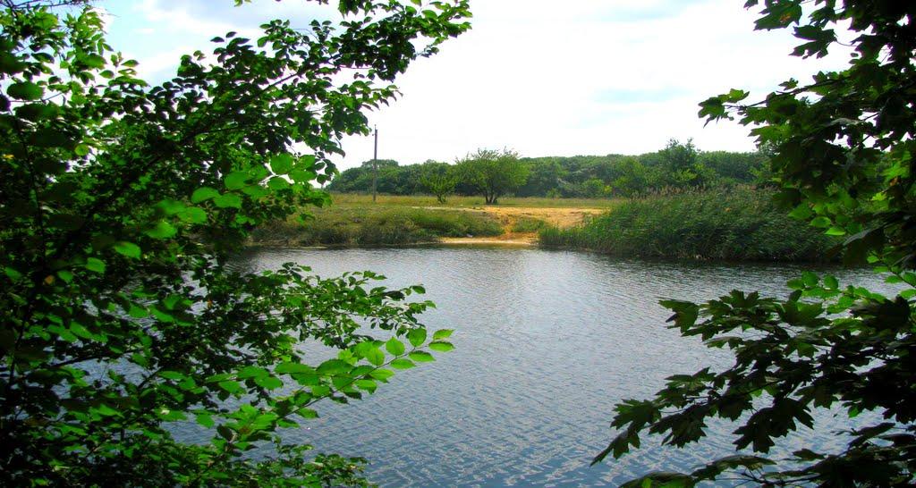 Времівка з panoramio.com - Времівка