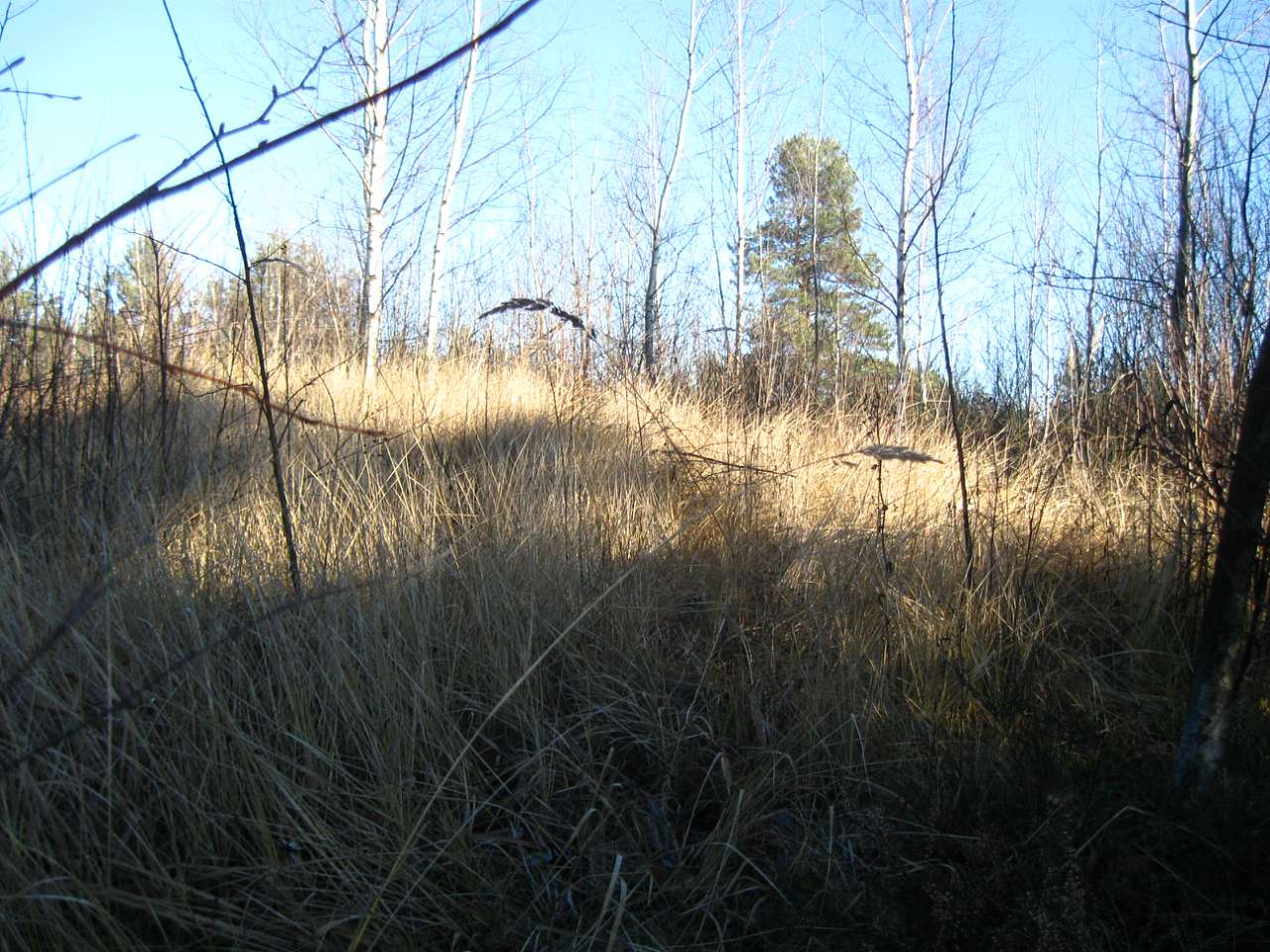 РОПЛЄНКЕ - Небылов