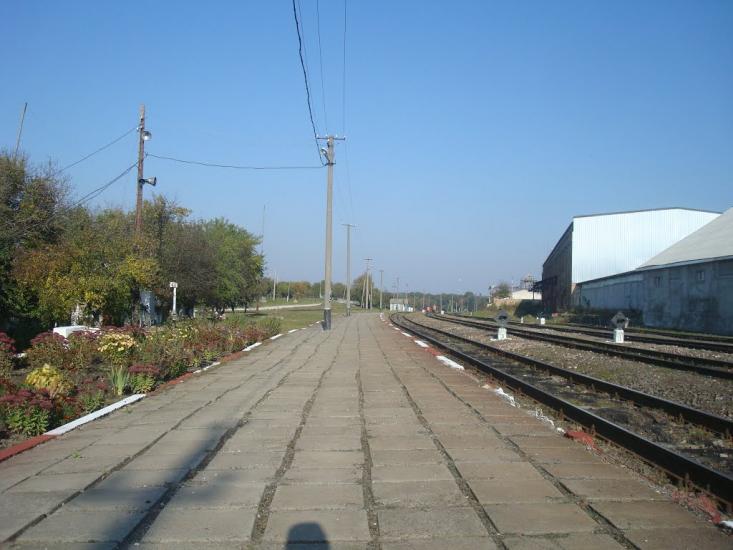 Закупне з panoramio.com - Закупное