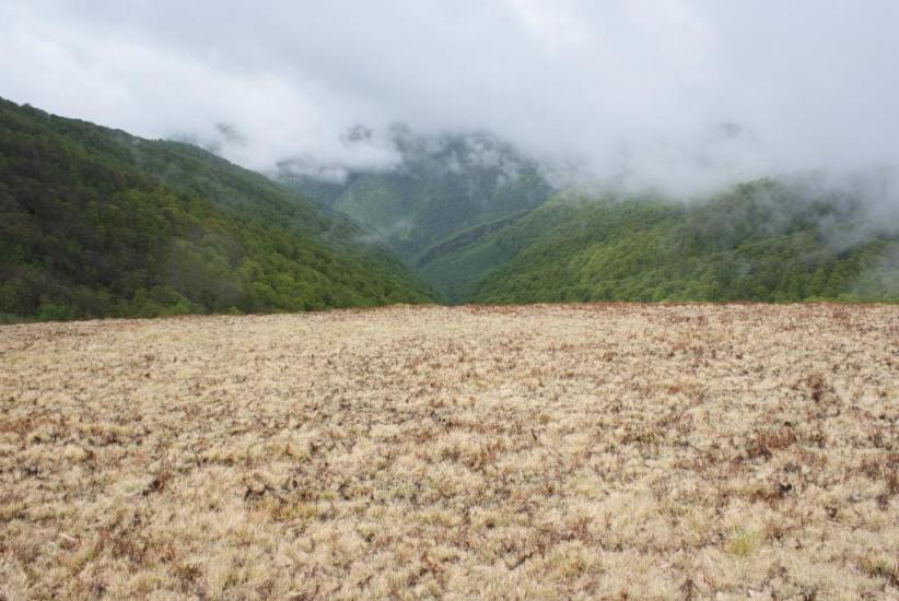 Білин з panoramio.com - Білин