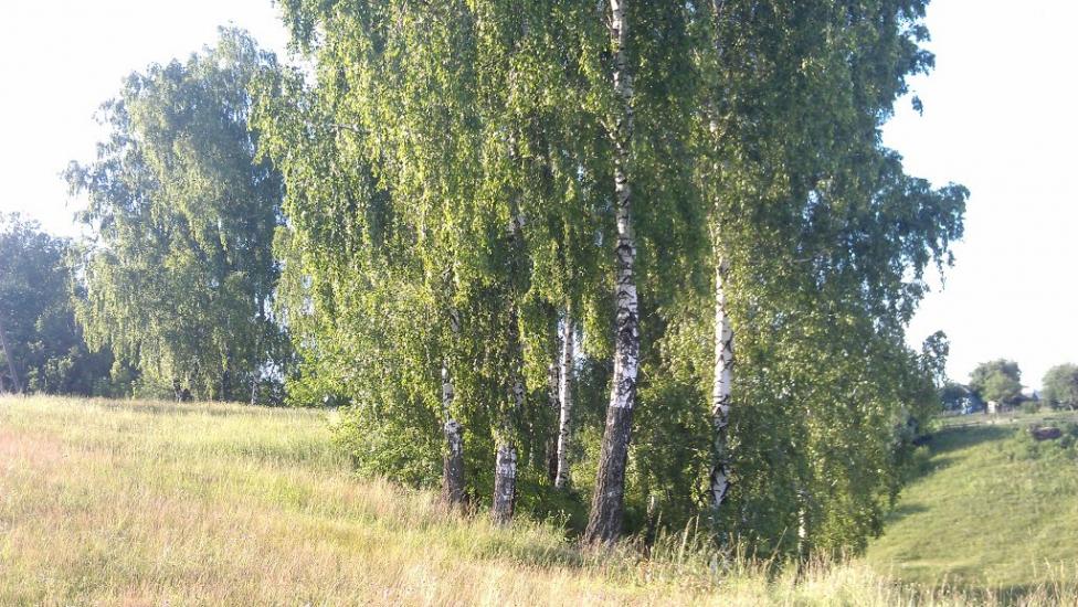 Понорниця з panoramio.com - Понорниця