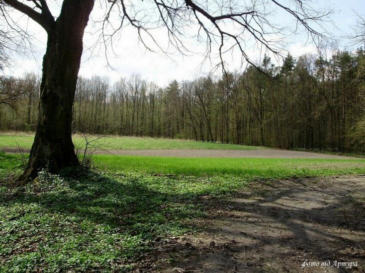 Звози з panoramio.com - Звозы