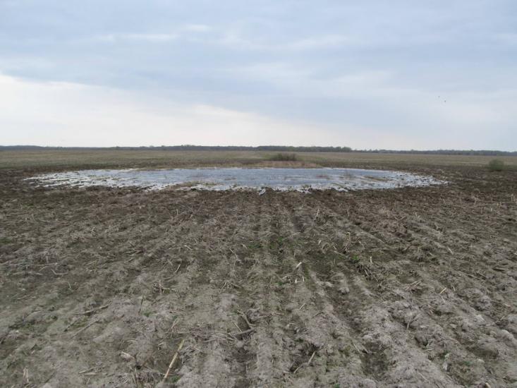 Шабалинів з panoramio.com - Shabalyniv