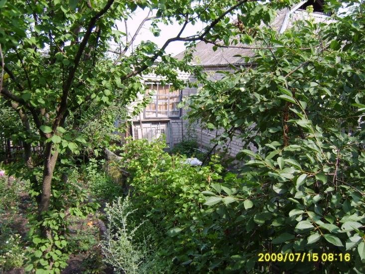 Ганнівка з panoramio.com - Анновка