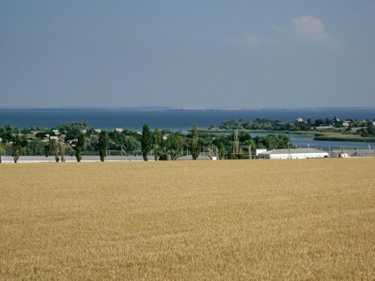 Олексіївка з panoramio.com - Алексеевка