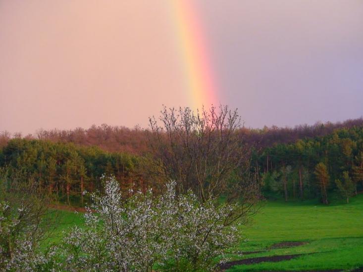Суворовське з panoramio.com - Суворовське