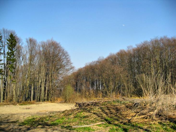Старі Бросківці з panoramio.com - Stari Broskivtsi