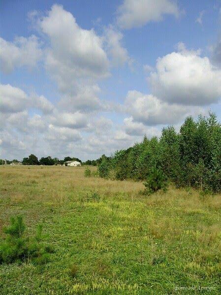 Звози з panoramio.com - Звозы