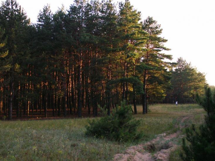 Баловне з panoramio.com - Баловное