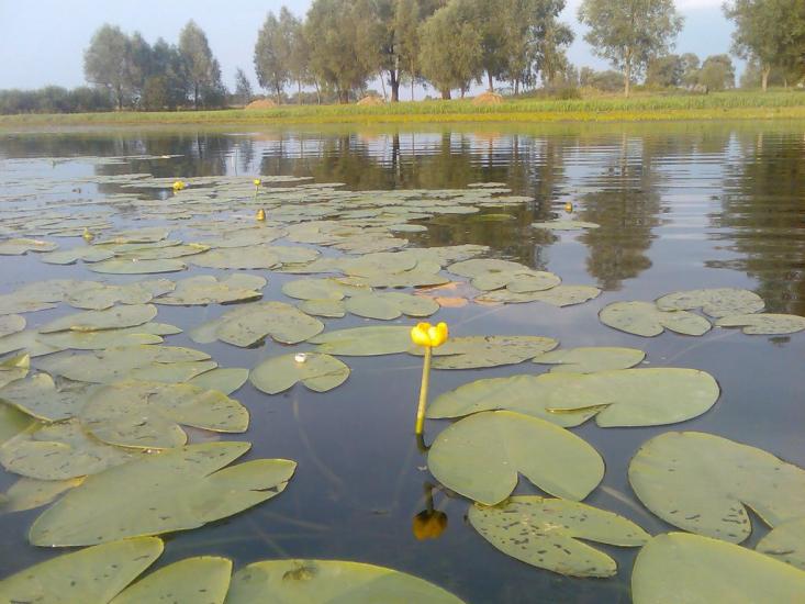 Жукин з panoramio.com - Zhukyn